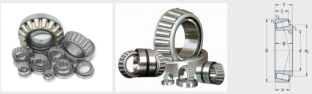 Taper roller bearing