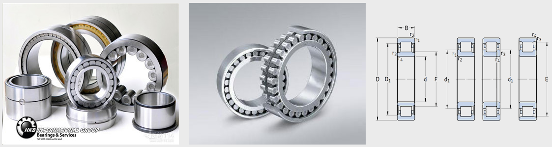 Cylindrical roller bearing